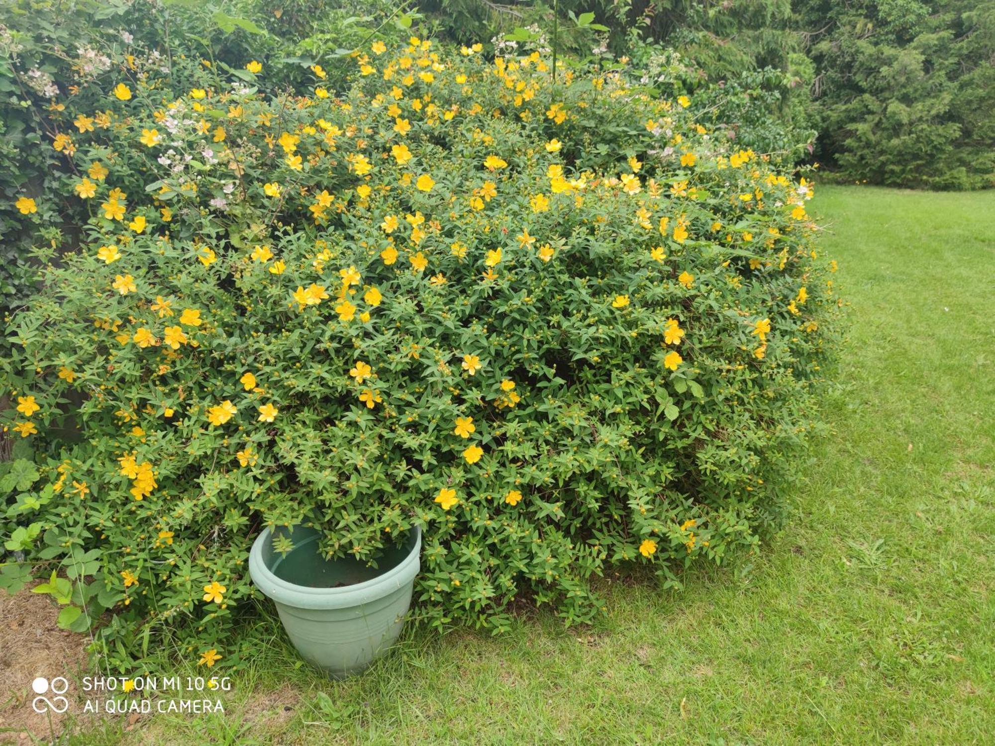 Sussex Lodge Guest House สลาว ภายนอก รูปภาพ